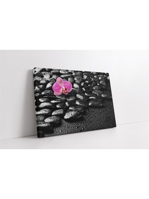 Tablosan Spa Taşları ve Orkide Kanvas Tablo