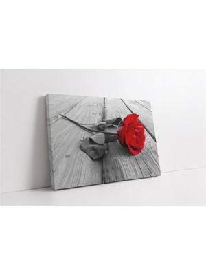 Tablosan Kırmızı Gül Kanvas Tablo