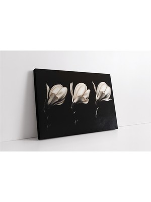 Tablosan Siyah Beyaz Çiçek Kanvas Tablo