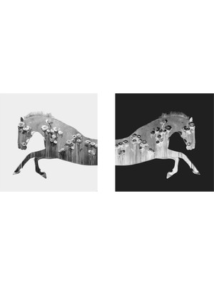 Tablosan Siyah Beyaz Ikili At Kanvas Tablo