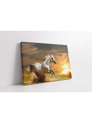 Tablosan Koşan Beyaz At Kanvas Tablo