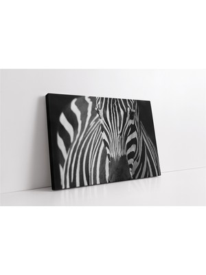Tablosan Yakın Çekim Zebra Kanvas Tablo