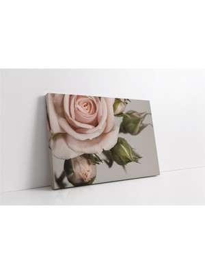 Tablosan Pembe Gül Kanvas Tablo