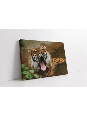 Tablosan Vahşi Doğa Kaplan Kanvas Tablo
