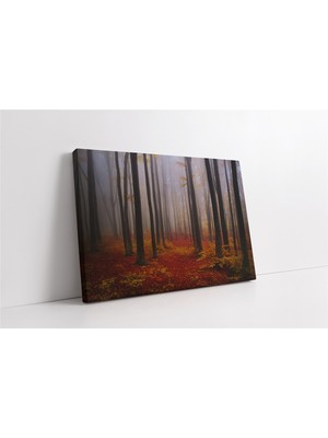 Tablosan Sisli Orman Kanvas Tablo