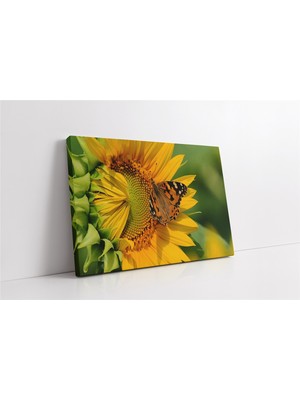 Tablosan Ayçiçeği ve Kelebek Kanvas Tablo