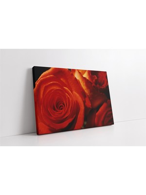 Tablosan Kırmızı Gül Kanvas Tablo