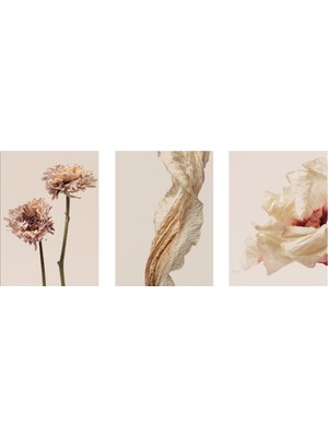 Tablosan Üçlü Çiçek Set Kanvas Tablo