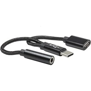 Type-C To Type-C + Aux Ses Dağıtıcı CL44