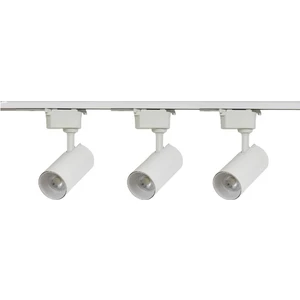 Gold Royal 3 Adet Beyaz Kasa 30W Beyaz Işık Ray Spot 1 M Ray