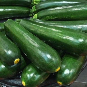 Kabak Tohumu Yeşil Paketteki Adet 10