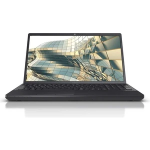 Lifebook Intel Core i5 1035G1 32GB 256GB SSD Windows 10 Home 15.6" Taşınabilir Bilgisayar A3510A34