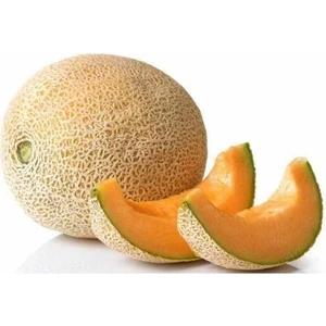 Tohumbaba Kavun Ananas Tohumu Pakette 15 Adet Tohum