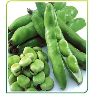 Karahasanoğlu Tarım Yerli Bakla Tohumu 500 gr