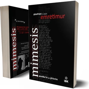 Mimesis   -Emre Timur