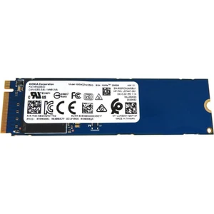 Kbg40Znv256G 256GB NVMe M.2 SSD