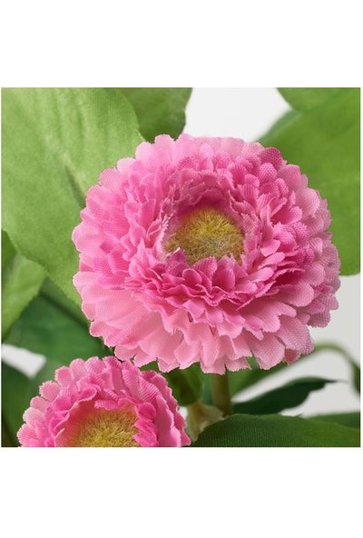 İkea Yapay Çiçek Pembe Papatya Ikea 12 cm Yapay Bitki Dekorasyon Çayır Papatyası