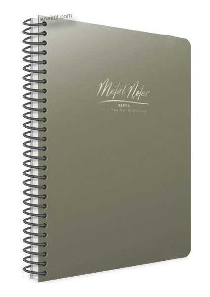 Metal Notes Gümüş Spiralli Plastik Kapak 100 Yaprak A4 Çizgili Defter