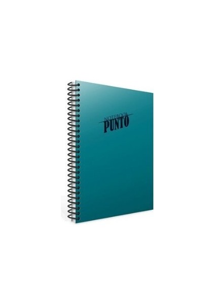 Punto Spiralli Turkuaz Plastik Kapak 100 Yaprak A4 Kareli Defter