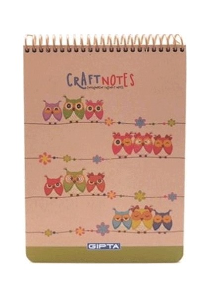 Craft Notes Spiralli Baykuş Sert Kapak 100 Yaprak A5 Çizgili Bloknot