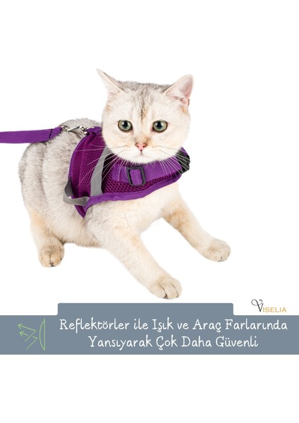 Kedi Tasması Göğüs Boyun Tasma Seti Sevk Kayışlı Terletmeyen Nefes Alan Reflektörlü Tasma Mor L indirimleri