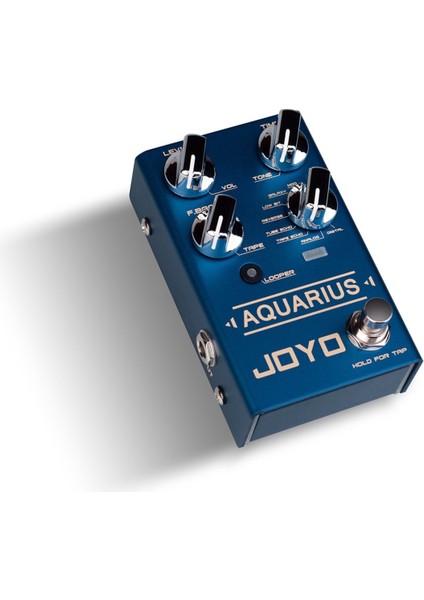 R-07 Aquarıus Dijital Efekt Pedalı modelleri