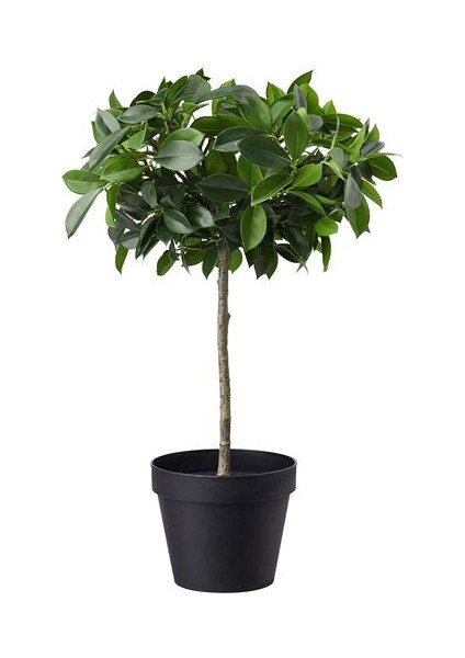 Yapay Bitki Benjamin 12 cm Yapay Çiçek Ev Dekorasyonu
