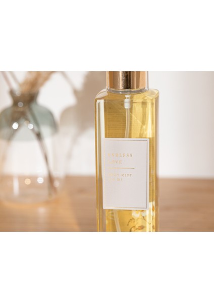 Endless Love Somon Renkli Vücut Spreyi 250 ml Kadın Kullanıcılar İçin fiyatları