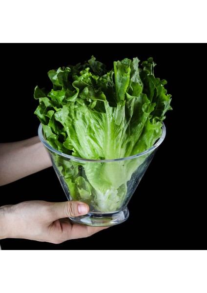Akrilik Salata Kase 15.5X12.6CM (Yurt Dışından) modelleri