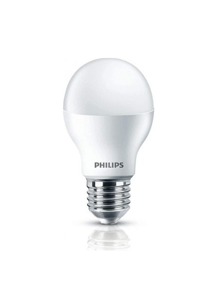 Essential Ledbulb 8W- 60W Normal Duylu E27 Ampul Beyaz Işık modelleri