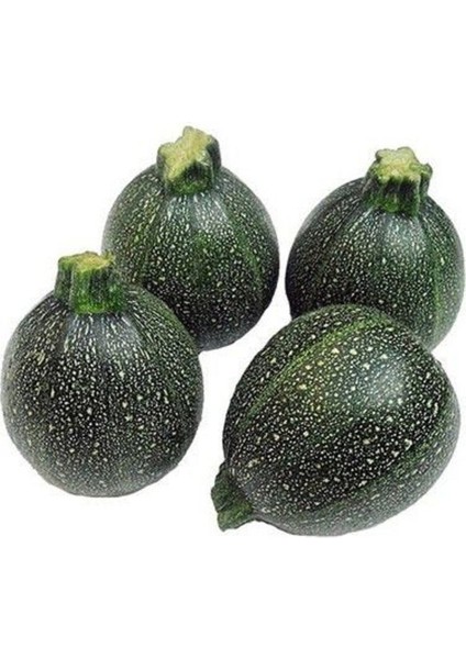 50 Adet Tohum Nadir Dolmalık Topak Patlıcan Tohumu Yeşil Kabak Hediye Tohumlu