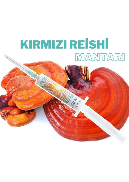 Evde Mantar Kırmızı Reishi Mantarı Ana Kültür -Mantar Tohumu