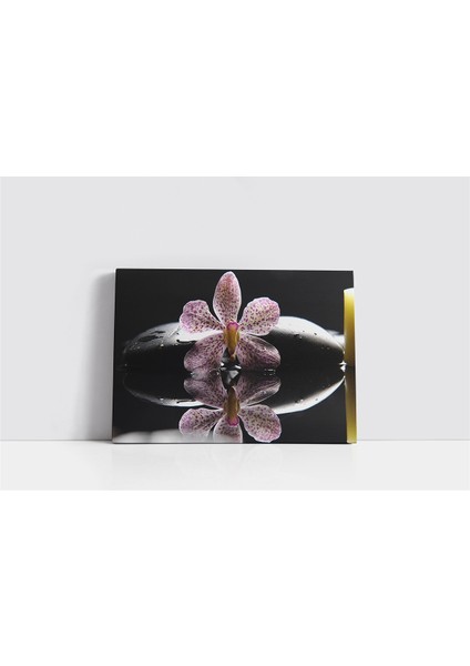 Spa Taşları ve Orkide Kanvas Tablo
