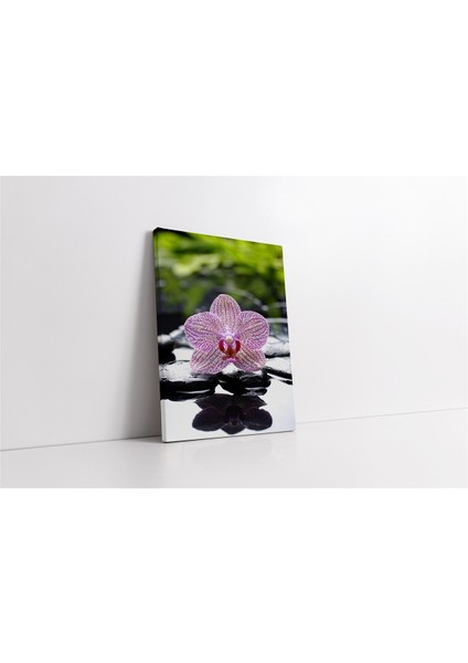 Spa Taşları ve Orkide Kanvas Tablo
