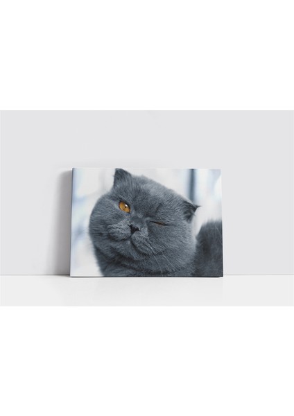 Gri Kedi Kanvas Tablo fiyatları