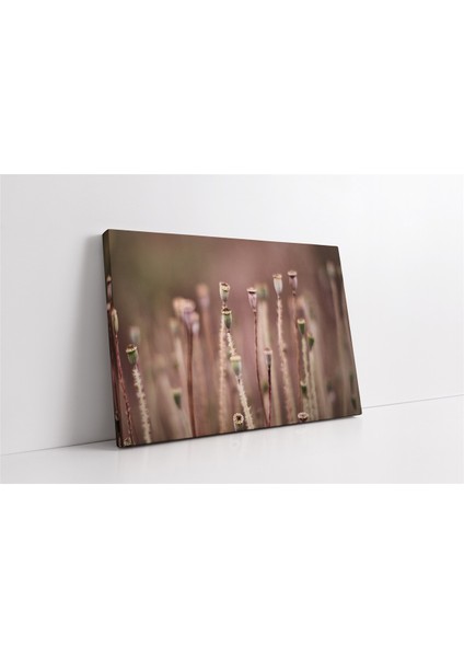 Çiçek Dalları Kanvas Tablo