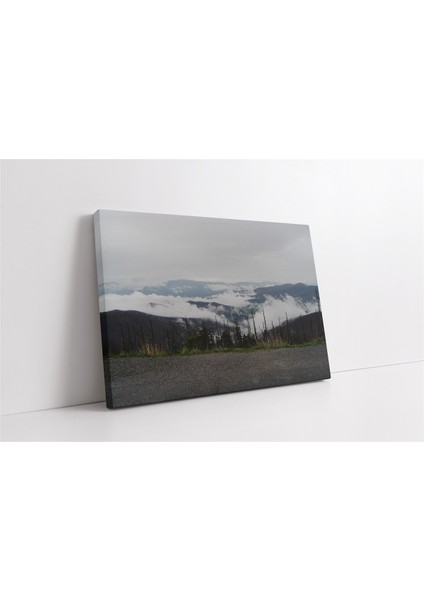 Bulutların Üzerinden Orman Kanvas Tablo