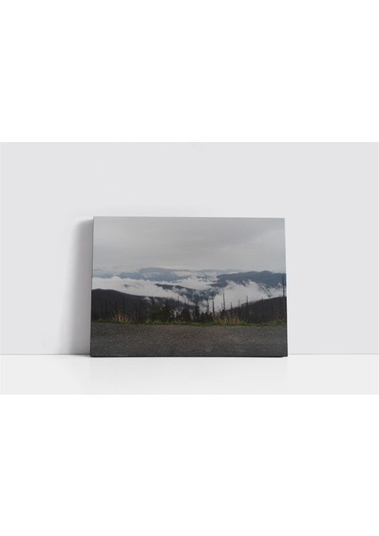 Bulutların Üzerinden Orman Kanvas Tablo fiyatları