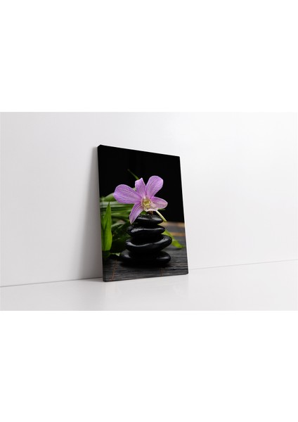 Spa Taşları ve Orkide Kanvas Tablo