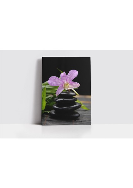 Spa Taşları ve Orkide Kanvas Tablo