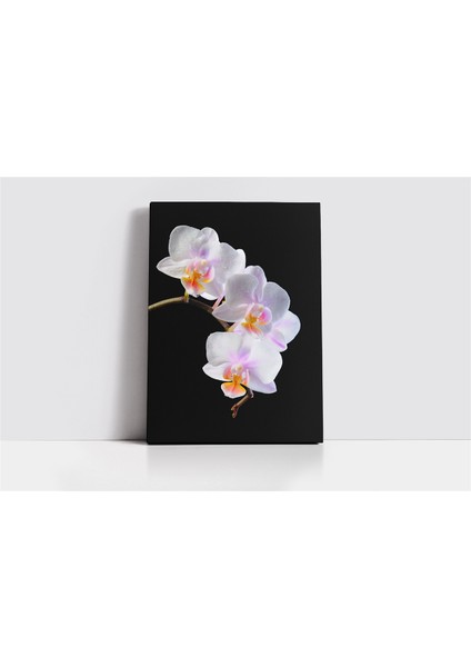 Beyaz Çiçek Kanvas Tablo fiyatları