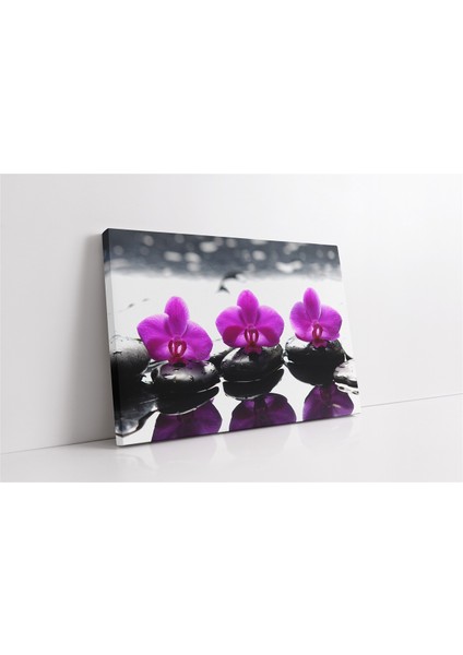 Spa Taşları ve Orkide Kanvas Tablo