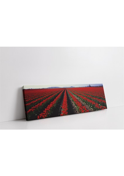 Panoramik Doğa Kanvas Tablo