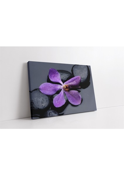 Spa Taşları ve Orkide Kanvas Tablo