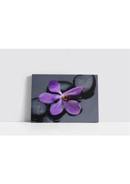 Spa Taşları ve Orkide Kanvas Tablo