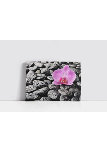 Spa Taşları ve Orkide Kanvas Tablo