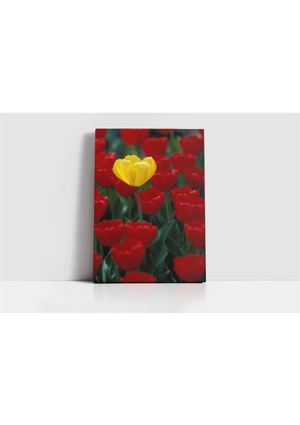 Kırmızı Laleler Arasında Sarı Lale Kanvas Tablo fiyatları