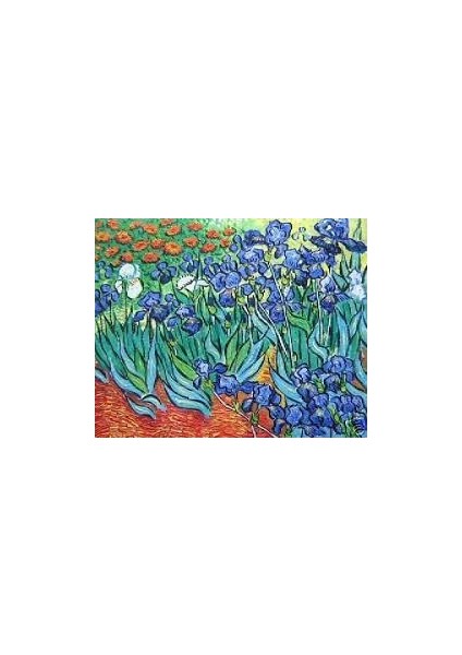 Lilart Puzzle Vincent Van Gogh-Irisler 286 Parça