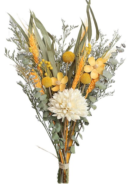 Doğal Kurutulmuş Çiçekler (Yurt Dışından)