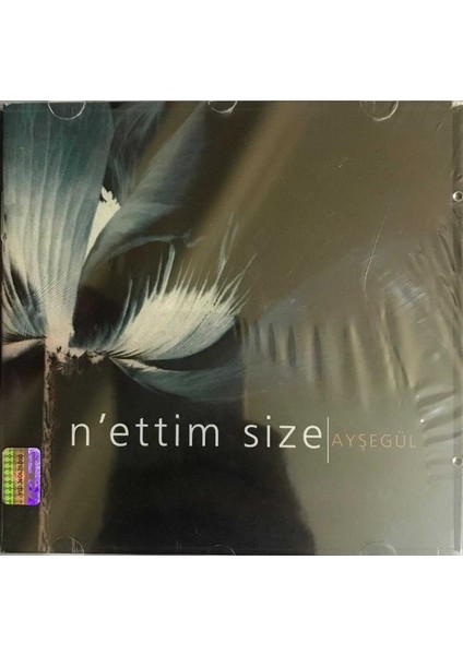 İber Müzik Ayşegül – N'ettim Size CD